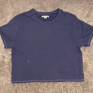 American Eagle Outfitters Lavender-Blue Textured Crewneck Tee